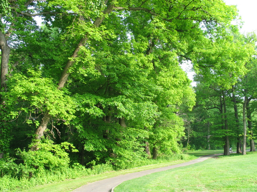 306-0637_IMG.JPG